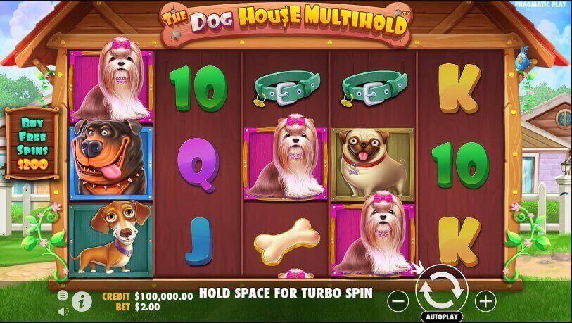 The Dog House Multihold Theme
