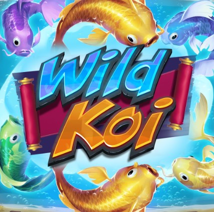 Wild Koi