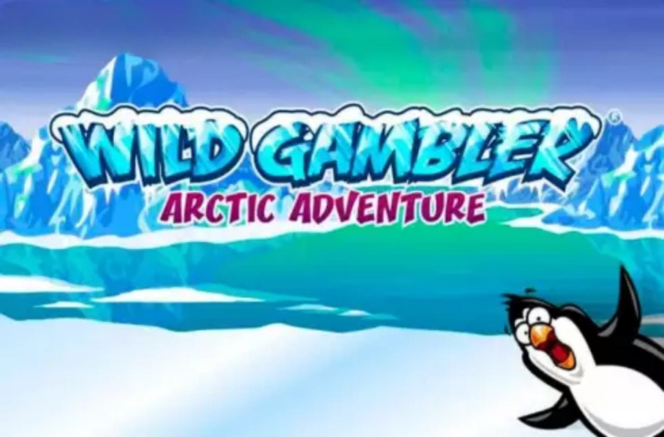 Wild Gambler – Arctic Adventures