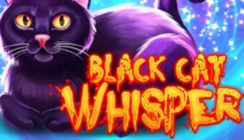 Black Cat Whisper
