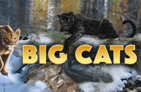 Big Cats