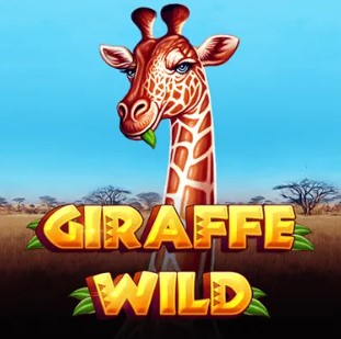 Giraffe Wild