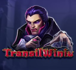 TransilWinia