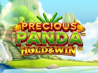 Precious Panda: Hold and Win