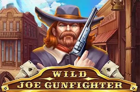 Wild Joe Gunfighter