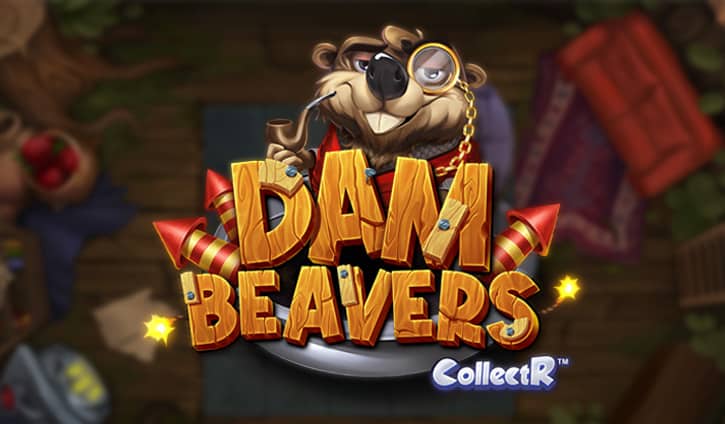 Dam Beavers