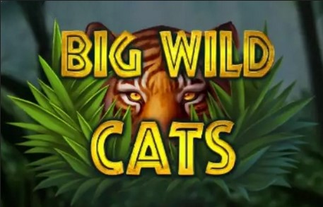 Big Wild Cats