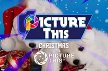 Picture This - Cute Christmas