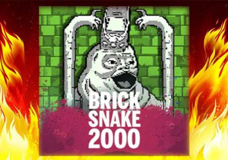 Brick Snake 2000