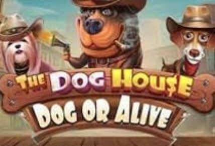 The Dog House - Dog or Alive