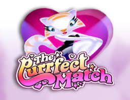 The Purrfect Match (BetConstruct)