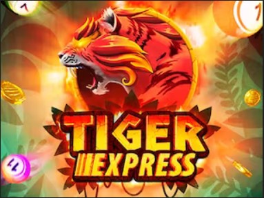Tiger Bingo Express
