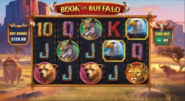Book of Buffalo Theme