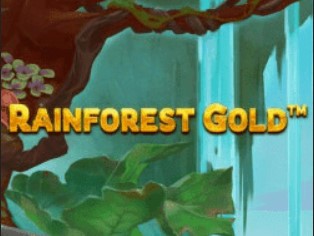 Rainforest Gold