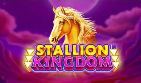 Stallion Kingdom